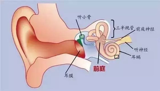 为什么有的人晕车有的人却不晕,晕车怎么办