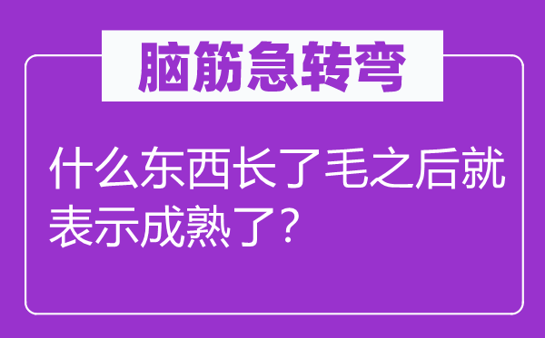 脑筋急转弯：什么东西长了毛之后就表示成熟了？