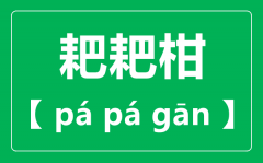 耙耙柑怎么读_耙耙柑念pa还是