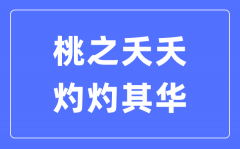 桃之夭夭，灼灼其华是什么意