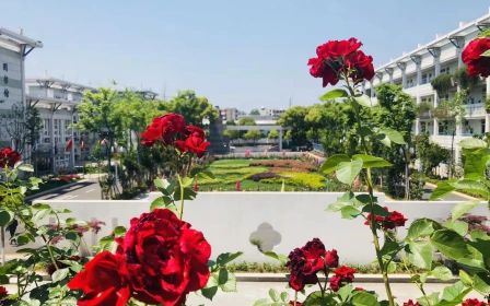 南京师范大学附属实验学校是公立还是私立,是重点中学吗？